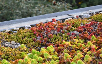 the cost of Engine Common green roof installation