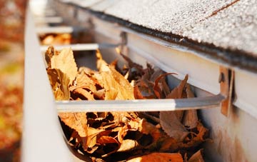 Engine Common gutter cleaning companies
