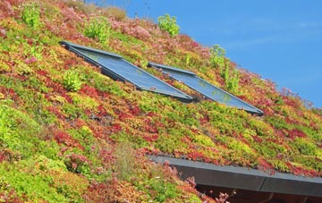 Engine Common living roof systems