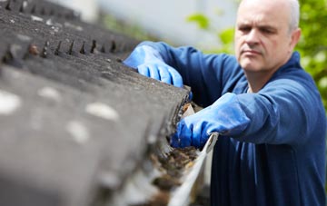 cleaning and inspecting Engine Common roofs