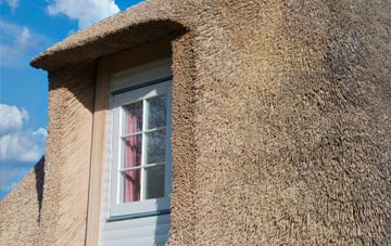 Engine Common thatch roof disadvantages