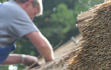 professional Engine Common thatchers