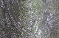 Engine Common fibreglass roof work