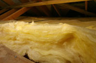 Engine Common pitch roof insulation